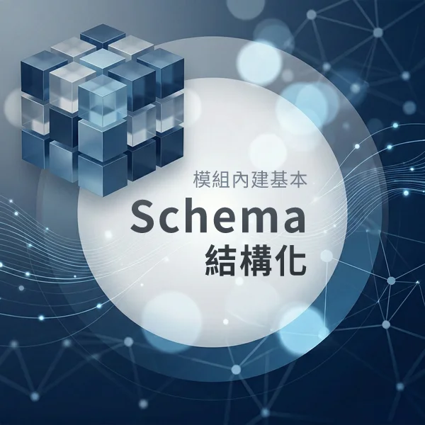 模組內建基本Schema結構化