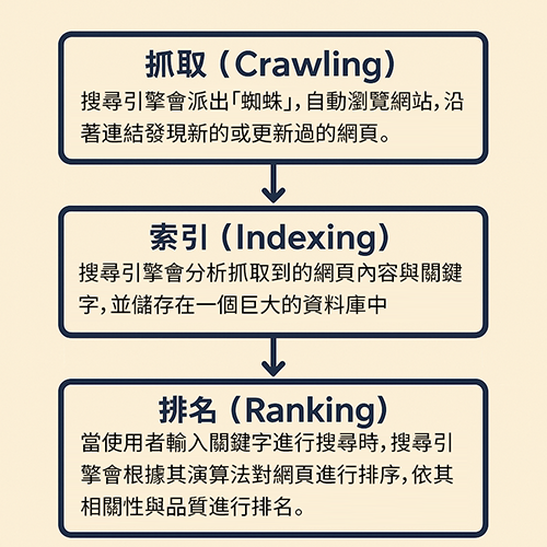 一張以中文呈現的搜尋引擎運作流程圖，圖中包含「抓取」、「索引」、「排名」三個階段，並以箭頭連接，說明搜尋引擎如何從網頁擷取資料、建立索引，最後依照演算法排序結果。