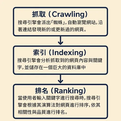 一張以中文呈現的搜尋引擎運作流程圖,圖中包含「抓取」、「索引」、「排名」三個階段,並以箭頭連接,說明搜尋引擎如何從網頁擷取資料、建立索引,最後依照演算法排序結果。