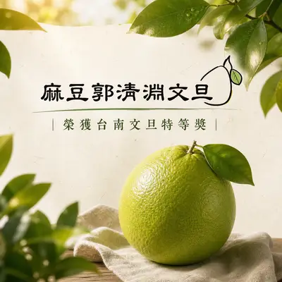 麻豆郭清淵文旦