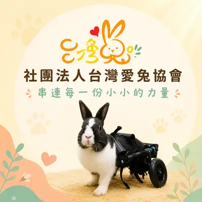 社團法人台灣愛兔協會