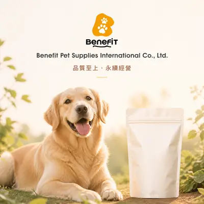 斑尼菲國際