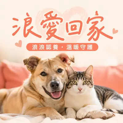 浪愛回家