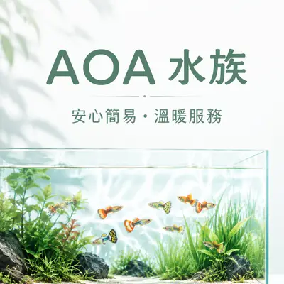 AOA水族