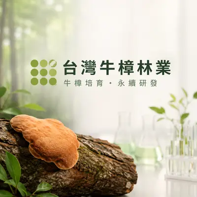 台灣牛樟林業